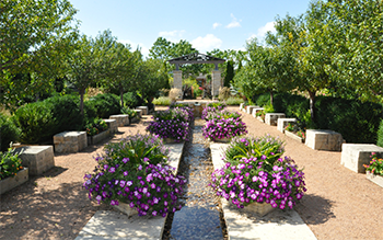 Two gravel walkways are separated by blooming purple flowers and surrounded by greenery.