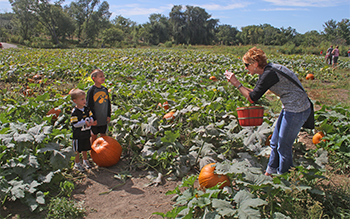 A mom takes a photo of her two young sons standing behind a pumpkin in the pumpkin patch.
